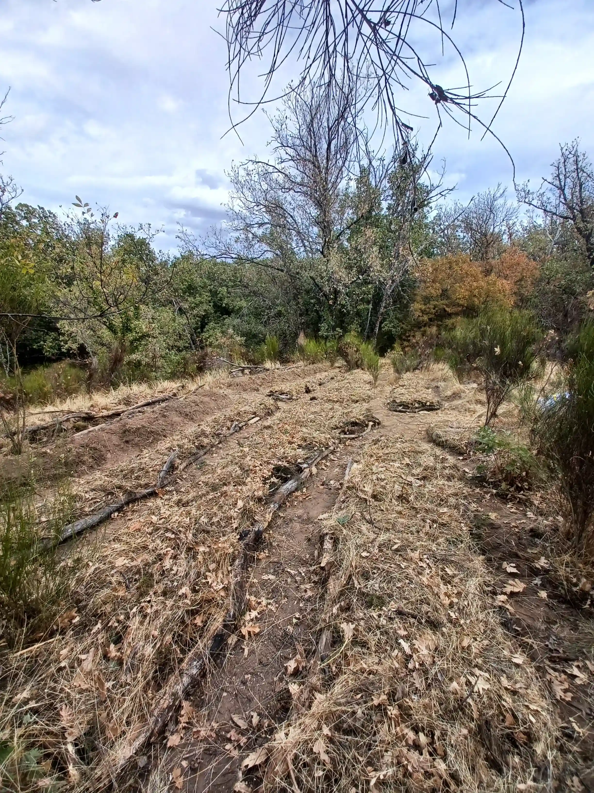 HugelKultur Progreso 10