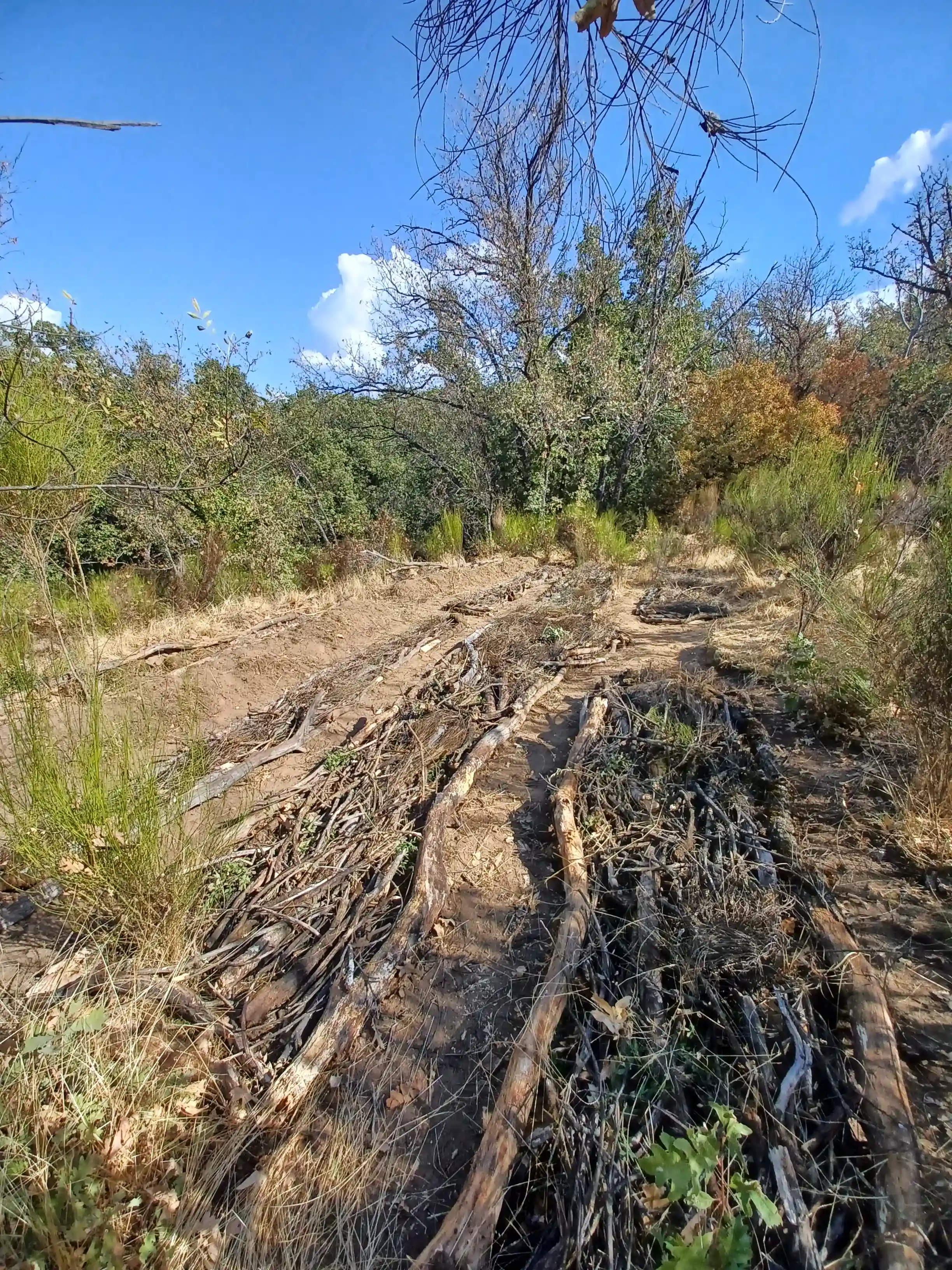 HugelKultur Progreso 3