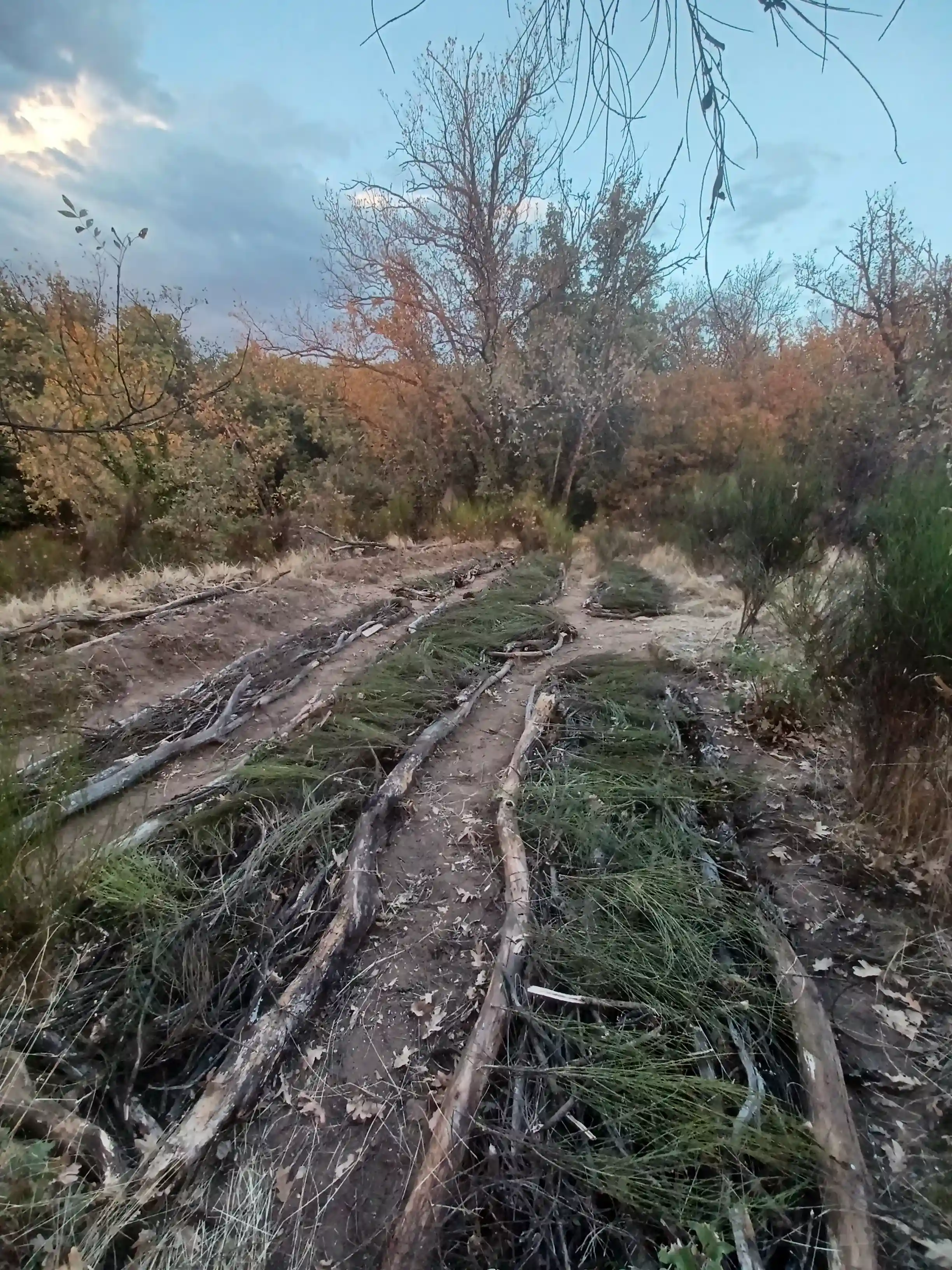 HugelKultur Progreso 7