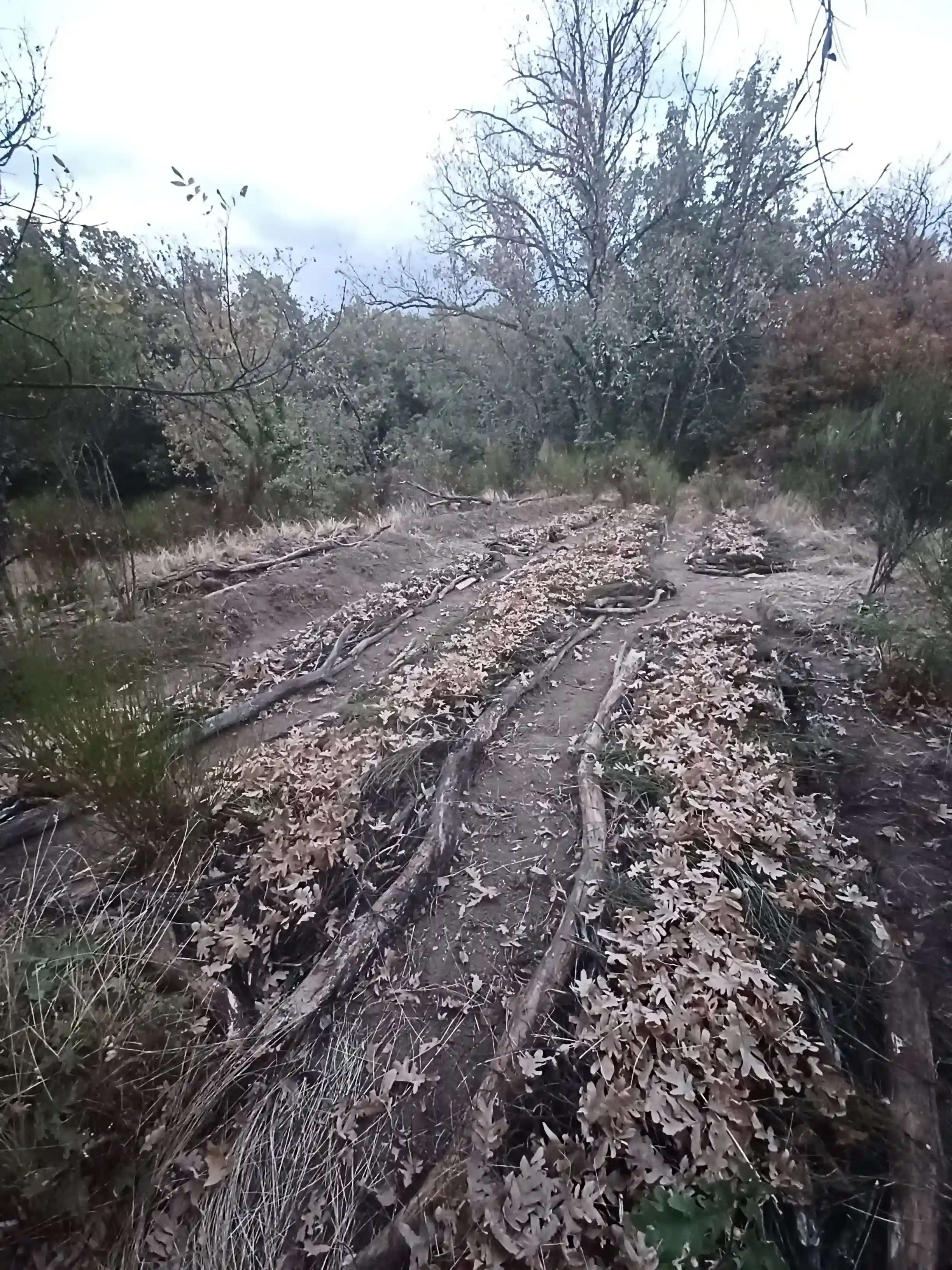 HugelKultur Progreso 9