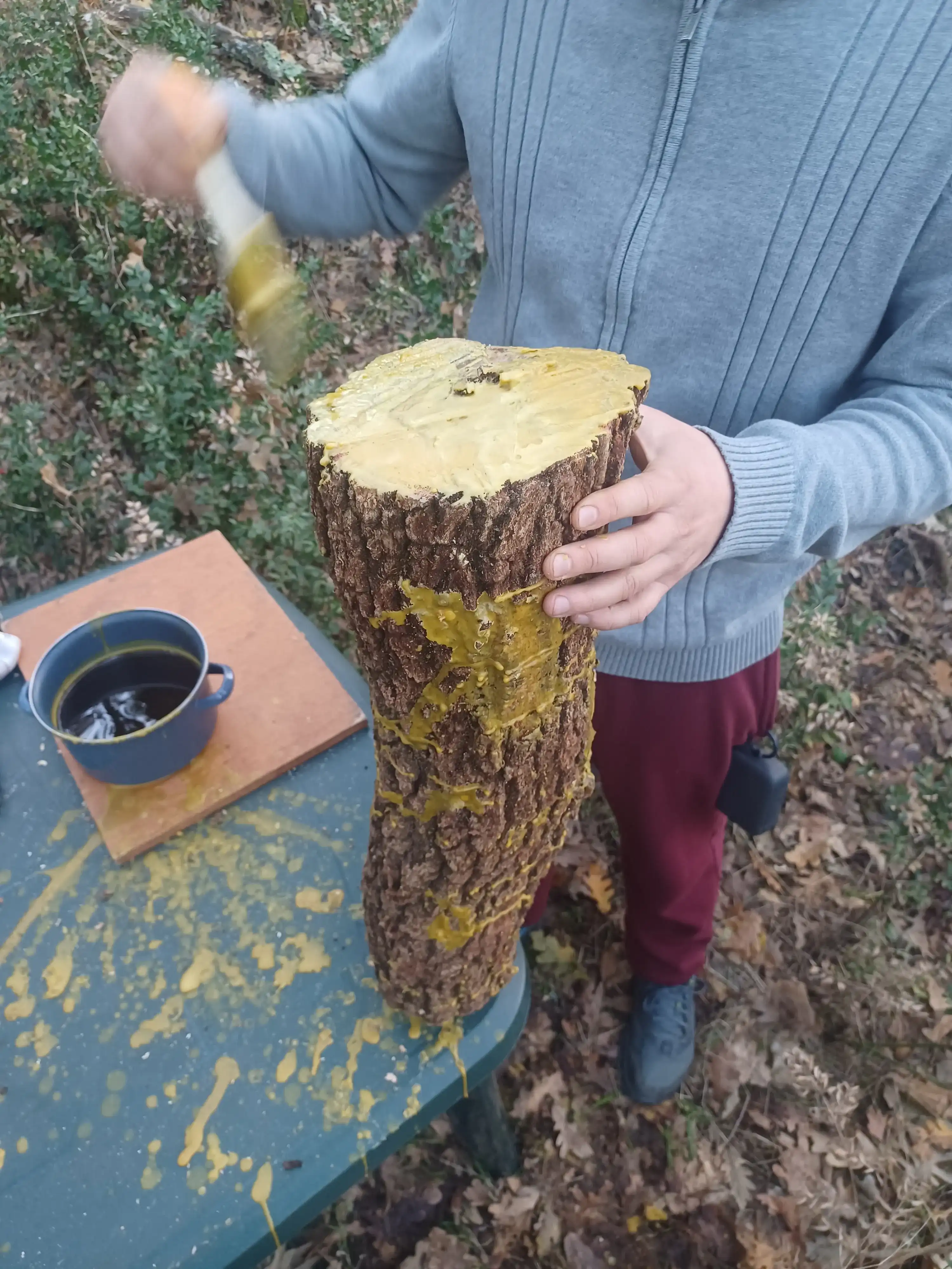 Inoculación de Setas 4